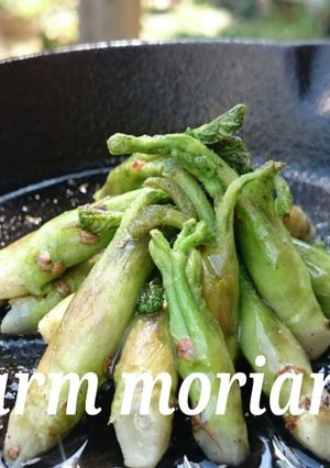 春はコレ！スキレットでタラの芽ソテー-レシピのメイン写真