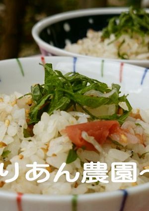 ママとお子ちゃまのカルシウムごはん-レシピのメイン写真