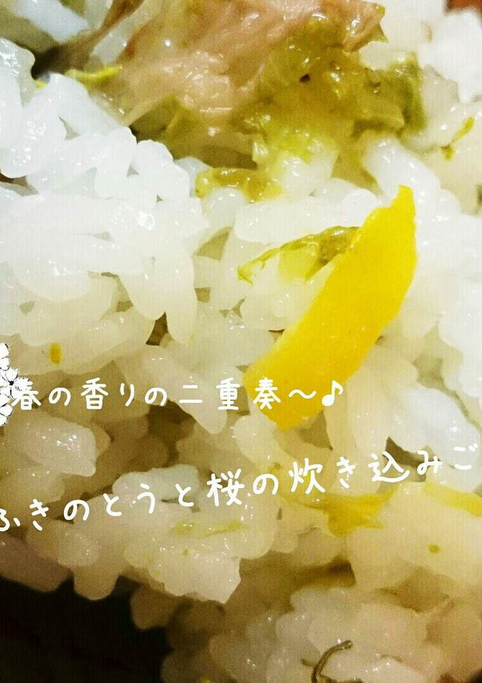 春の香の二重奏♪ふきのとうと桜の炊き込み-レシピのメイン写真