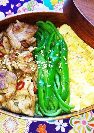 ◇◆◇三色弁当◇◆◇-レシピのメイン写真