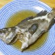 ガブ(クロソイ)の煮付け