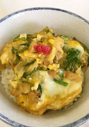 めっけもん♪葉玉ねぎのふわ〜卵の親子丼-レシピのメイン写真