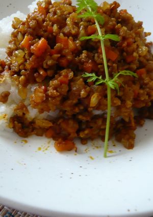 ☆玉ねぎたっぷり♪簡単ドライカレー☆-レシピのメイン写真