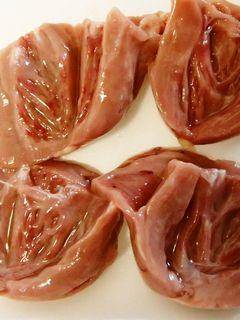 鶏ハツの下ごしらえ-レシピのメイン写真