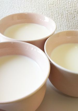 濃厚とろっとろ牛乳プリン♪-レシピのメイン写真