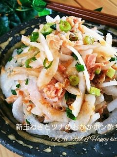 新玉ねぎとツナのおかかポン酢サラダ-レシピのメイン写真
