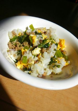 1度作ってみてね☺【簡単】絶品な高菜炒飯-レシピのメイン写真