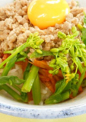 めっけもん♪春ど～んぶり-レシピのメイン写真