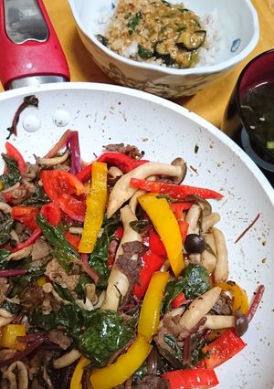 簡単カラフル牛肉のバルサミコ炒め♪-レシピのメイン写真