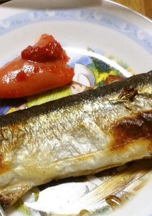 「ダツ」の干物の作りかた-レシピのメイン写真