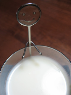 北海道のとろける牛乳プリン☺-レシピのメイン写真