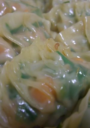 にんじんとピーマンの羽餃子-レシピのメイン写真