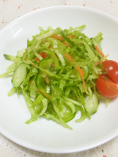 ピーマン入り千切り野菜のグリーンサラダ-レシピのメイン写真
