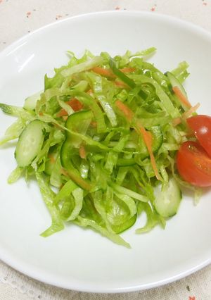 ピーマン入り千切り野菜のグリーンサラダ-レシピのメイン写真