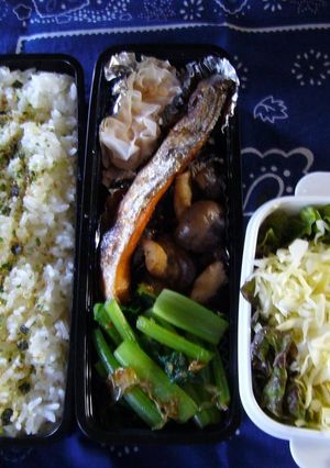 お弁当　5/21-レシピのメイン写真