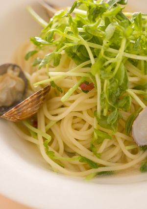 あさりと豆苗のパスタ-レシピのメイン写真