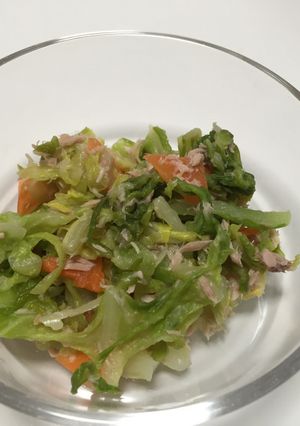 春キャベツとにんじんのツナサラダ☆-レシピのメイン写真