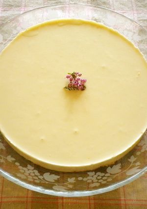 酒粕入りレアチーズケーキ-レシピのメイン写真