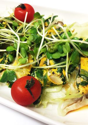 食s' にら卵サラダのポン酢がけ-レシピのメイン写真