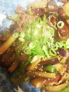 簡単!なすとピーマンの肉味噌炒め-レシピのメイン写真