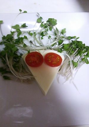 さらだっぴ-レシピのメイン写真