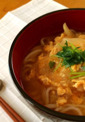 簡単うまうま♡あったかおろしうどん-レシピのメイン写真