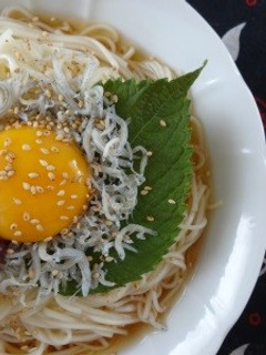 山海ぶしで梅しらすそうめん♪-レシピのメイン写真