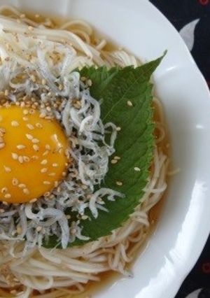 山海ぶしで梅しらすそうめん♪-レシピのメイン写真
