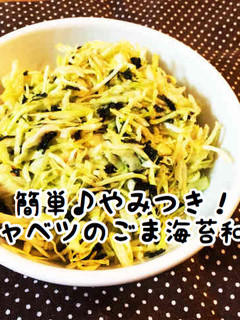 簡単♪やみつき!キャベツのごま海苔和え-レシピのメイン写真