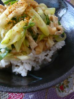 ☆ねぎたっぷり~♪きつねどんぶり☆-レシピのメイン写真