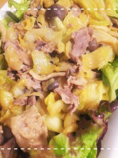 調味料2つ!きゃべつと豚肉の和風炒め-レシピのメイン写真
