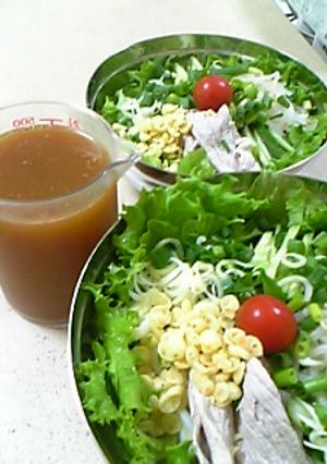 簡単☆サラダうどん用のつゆ-レシピのメイン写真