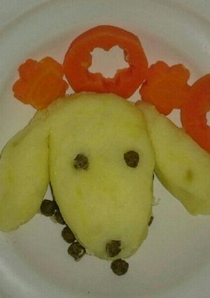 ワンちゃんのお誕生日ごはん-レシピのメイン写真