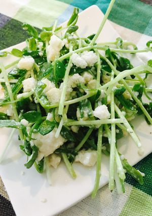 豆苗と水菜、豆腐和えサラダ-レシピのメイン写真