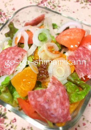 愛媛の真面目な伊予柑サラダ-レシピのメイン写真