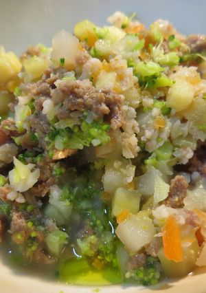 愛犬ごはん★作り置き　肉と野菜のポトフ-レシピのメイン写真