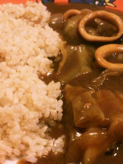 春キャベツとイカのカレー-レシピのメイン写真