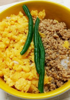 彩り綺麗♪優しい味の三色鳥そぼろ丼-レシピのメイン写真