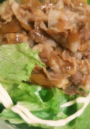 簡単♪美味しい♪トンレモ丼♪-レシピのメイン写真