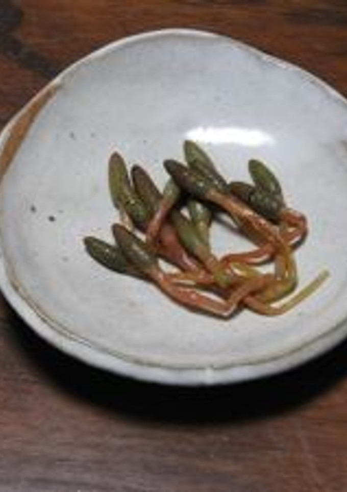 つくしの煮物-レシピのメイン写真