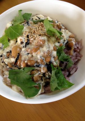 腸すっきり！ひじき煮なっ豆腐丼-レシピのメイン写真