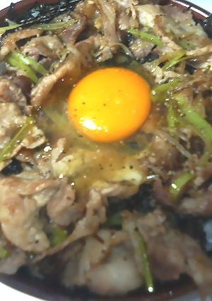 学生大好き！！　すたみな丼-レシピのメイン写真
