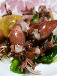 ホタルイカのとろーり酢味噌あえ-レシピのメイン写真