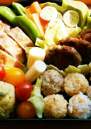 犬ご飯 まんぷくお花見弁当-レシピのメイン写真