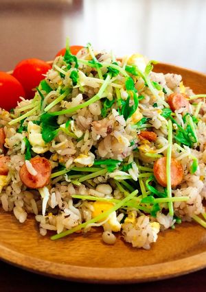 しらすと豆苗のゆかり炒飯☆彡-レシピのメイン写真