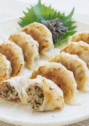 塩昆布の焼き餃子-レシピのメイン写真