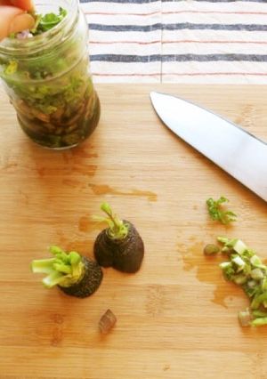 あると便利!万能野菜醤油-レシピのメイン写真
