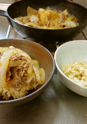 最速の牛丼並みとライス-レシピのメイン写真