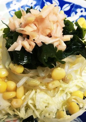『酢しょうが』のサラダ-レシピのメイン写真