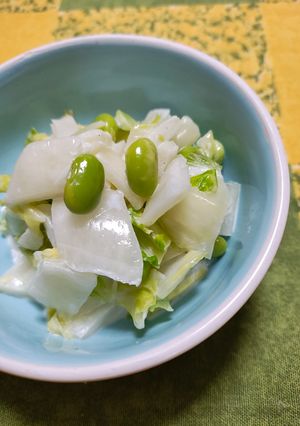 白菜で作るコールスロー-レシピのメイン写真